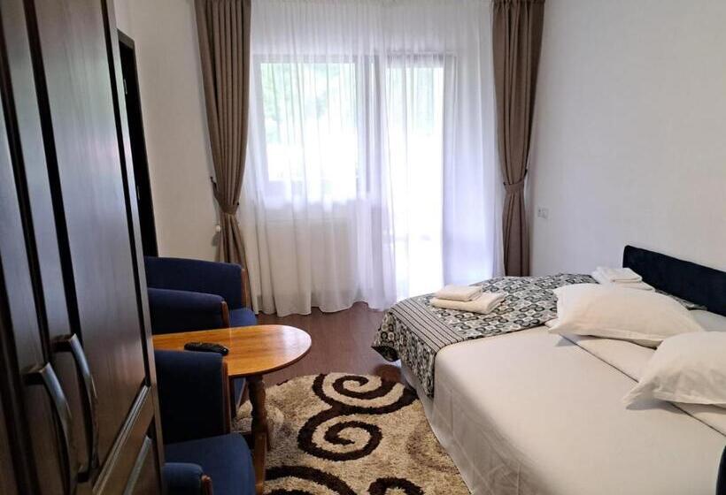 １ベッドルームアパートメント, Pensiunea Teomir