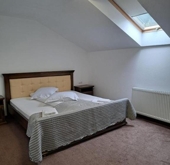 １ベッドルームアパートメント, Pensiunea Teomir