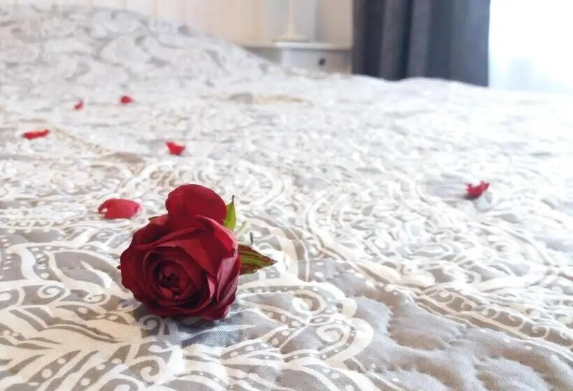 اتاق استاندارد, Nurmbergi Maja