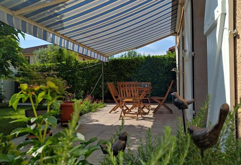 ガーデンビュースタンダードルーム, Fleurs De Cosmos