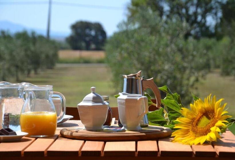 آپارتمان 1 خوابه, Agriturismo Il Vecchio Mandorlo