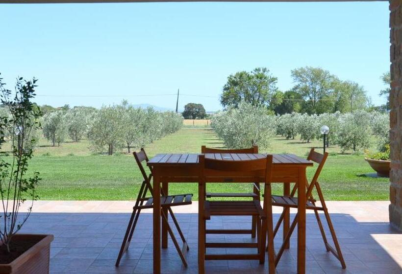 آپارتمان 1 خوابه با چشمانداز باغ, Agriturismo Il Vecchio Mandorlo