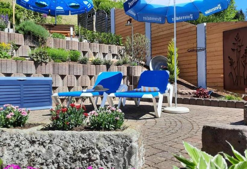 Номер Стандарт Вид на Сад, Gästehaus Haaser