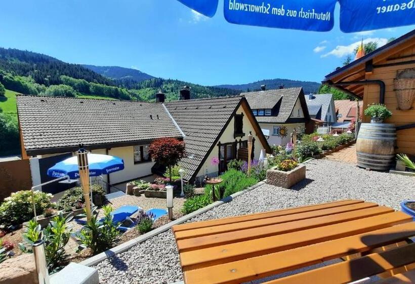 Номер Стандарт Вид на Сад, Gästehaus Haaser