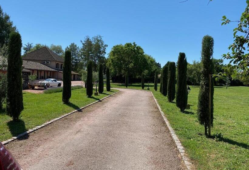 テラス付スタンダードルーム, Village Motel