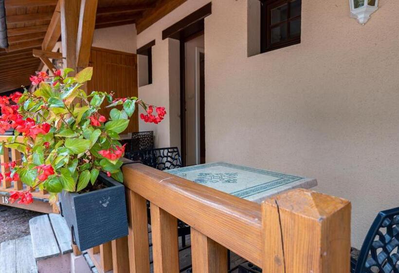 テラス付スタンダードルーム, Village Motel