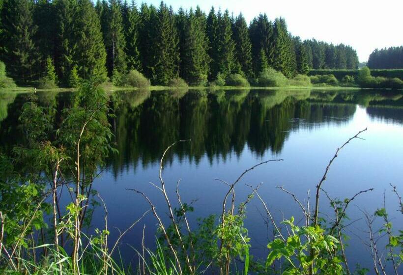 شقة غرفة واحدة مزودة بتراس, Flambacher Mühle