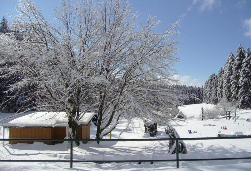 بنجلو ديلوكس, Flambacher Mühle