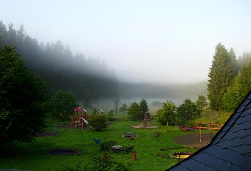 شقة غرفة واحدة مزودة بتراس, Flambacher Mühle