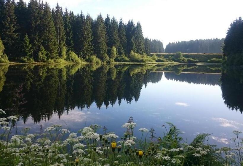 شقة غرفة واحدة مزودة بتراس, Flambacher Mühle