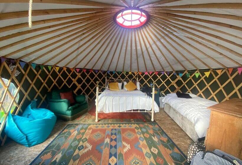 Standard Tent, Granville House Apartments & Glamping Site