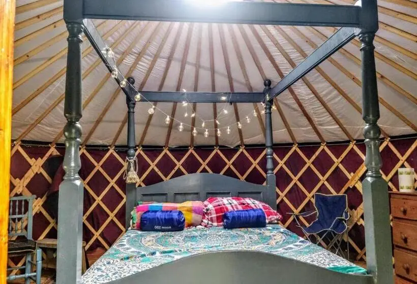 Standard Tent, Granville House Apartments & Glamping Site