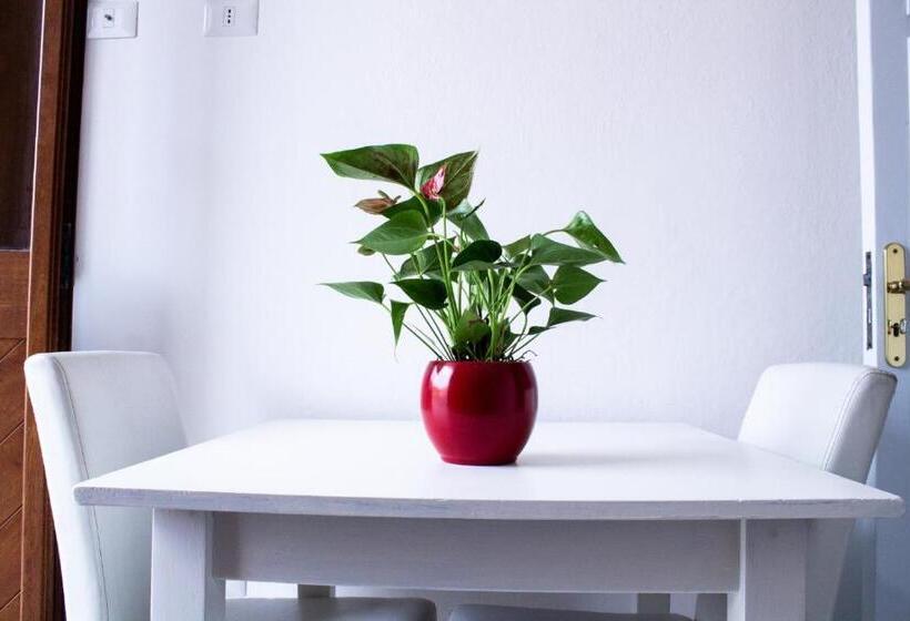 带1个卧室的公寓, Stella Guest House