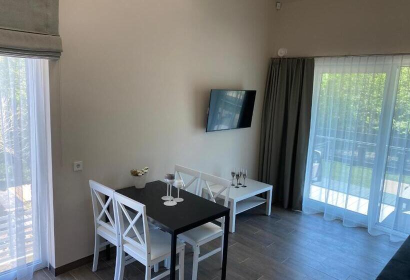 اتاق استاندارد چهارنفره با بالکن, Sky Villa