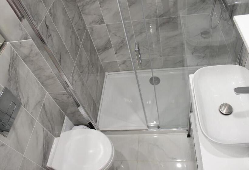 آپارتمان 1 خوابه با بالکن, Luxury City Center Apartment – Romana