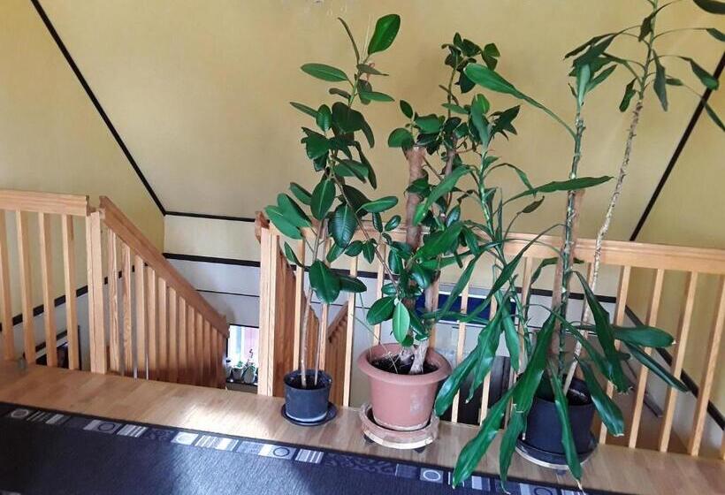 اتاق استاندارد یک نفره, Naturnära Enkel Rum B&b I Uppsala Ramstalund