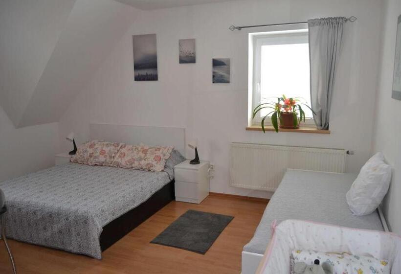 غرفة قياسية, Pension U Sovy