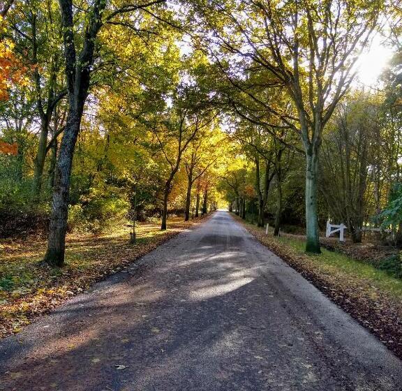 غرفة ديلوكس, Folmerhuis