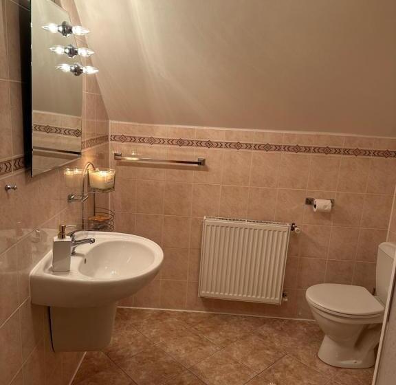 חדר סטנדרט, Penzion Benešov