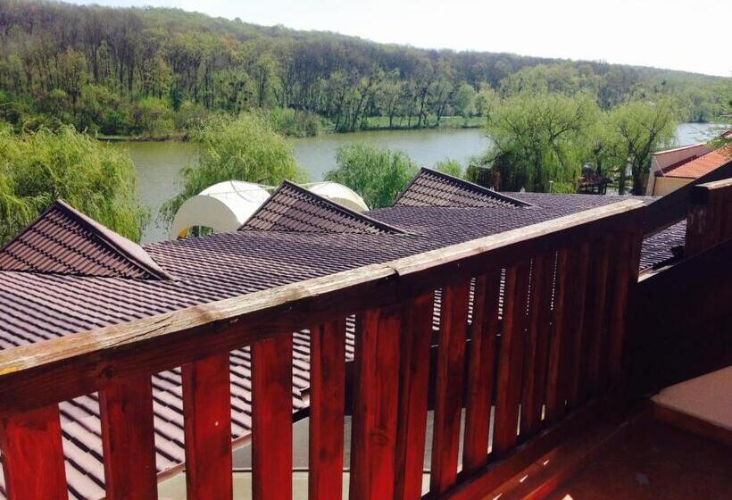 スタンダードルーム, Ciric