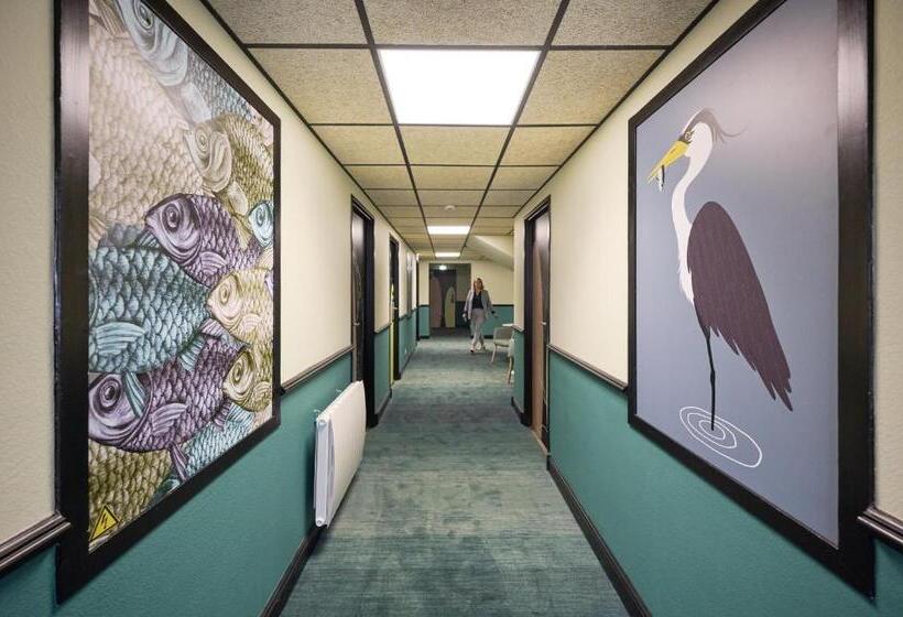 اتاق پرمیوم, Ibis Styles Bordeaux Begles Arena