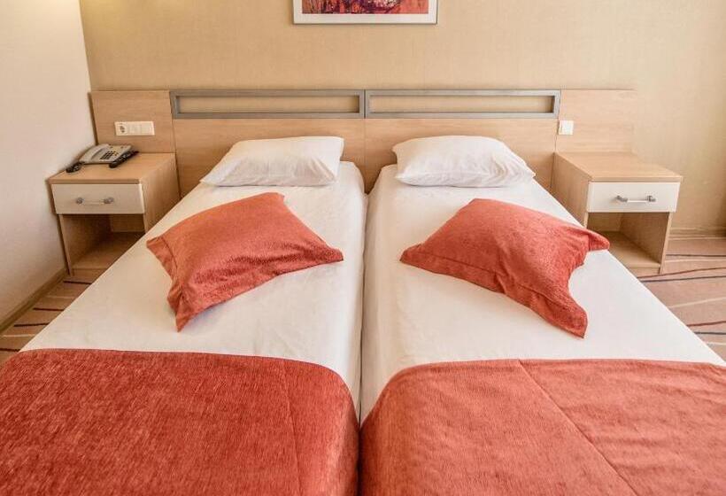 اتاق استاندارد, Palladium