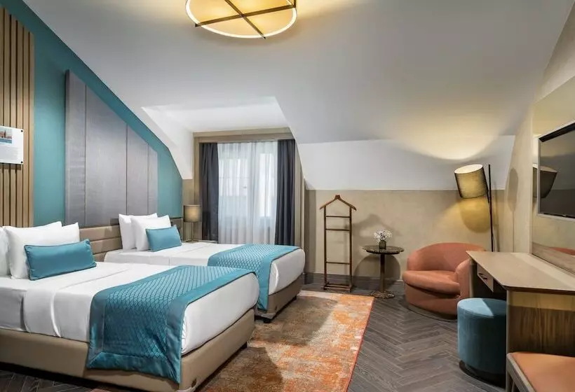 デラックスルーム, Aspera Hotel Altunizade