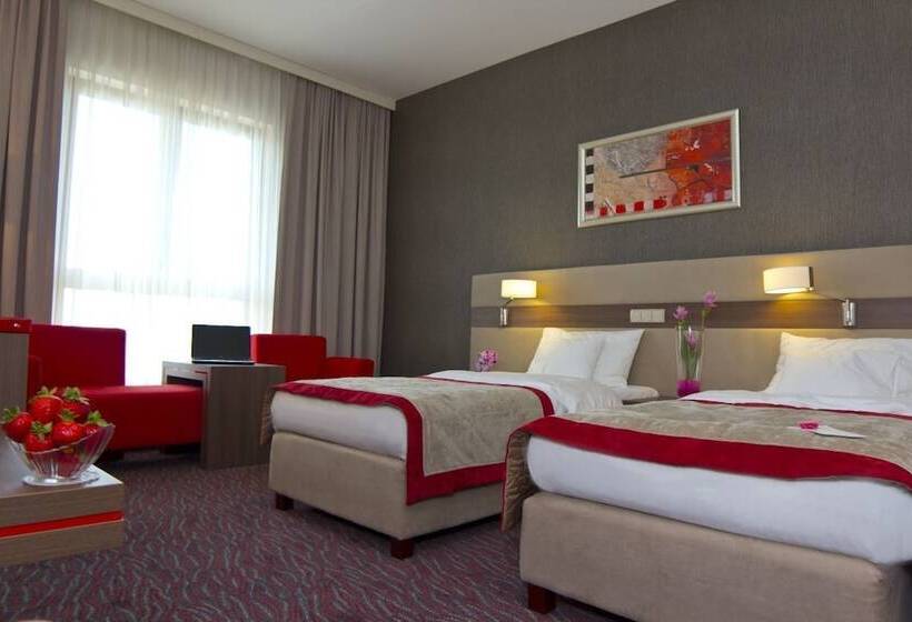 비즈니스룸, Szafran