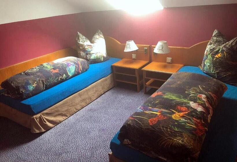 Трежместный Номер Economy, Monteurzimmer Riesa