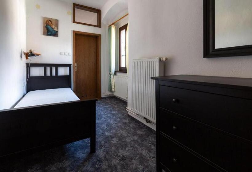 اتاق استاندارد یک نفره, Samostan Mekinje