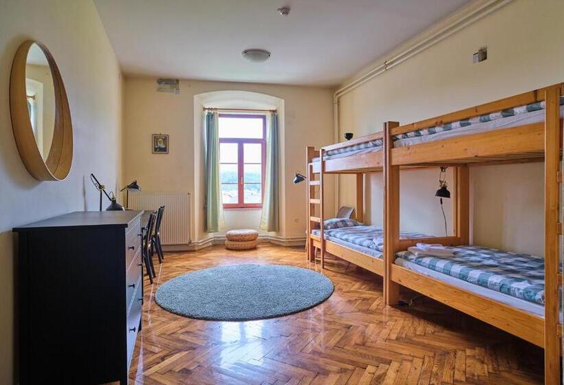 اتاق استاندارد چهار تخته, Samostan Mekinje