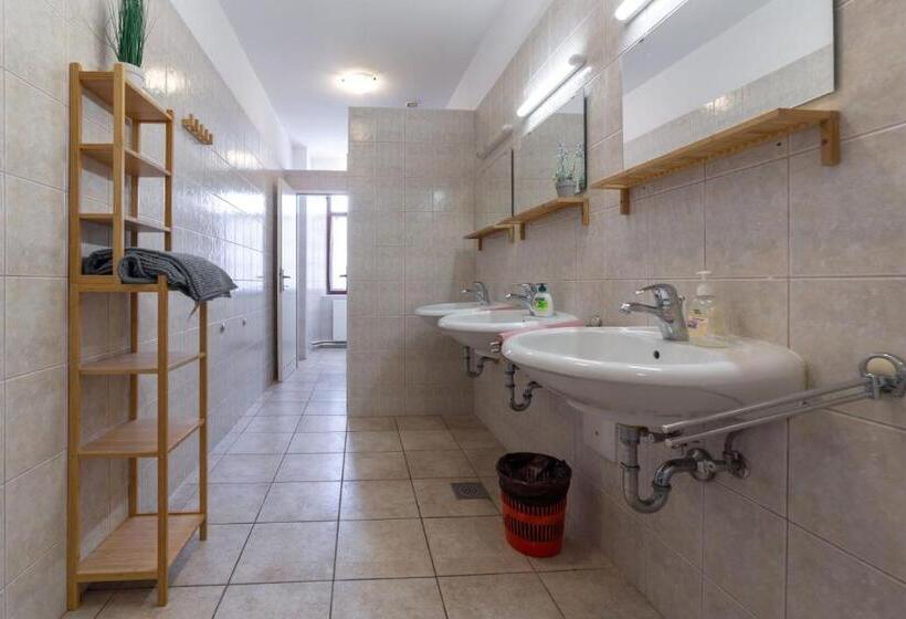 اتاق خانوادگی, Samostan Mekinje