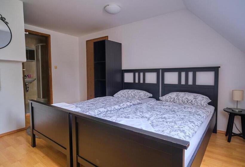 اتاق استاندارد, Samostan Mekinje