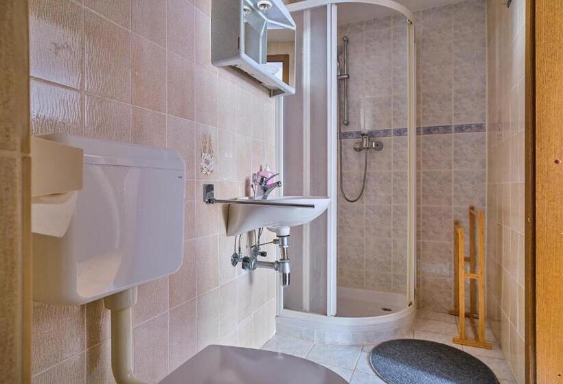 اتاق استاندارد, Samostan Mekinje