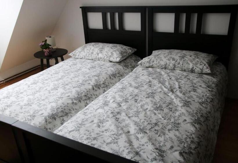 اتاق استاندارد, Samostan Mekinje