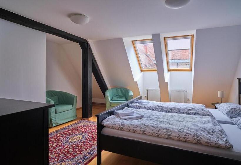 اتاق استاندارد, Samostan Mekinje