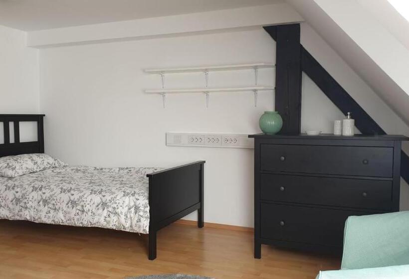 اتاق استاندارد, Samostan Mekinje