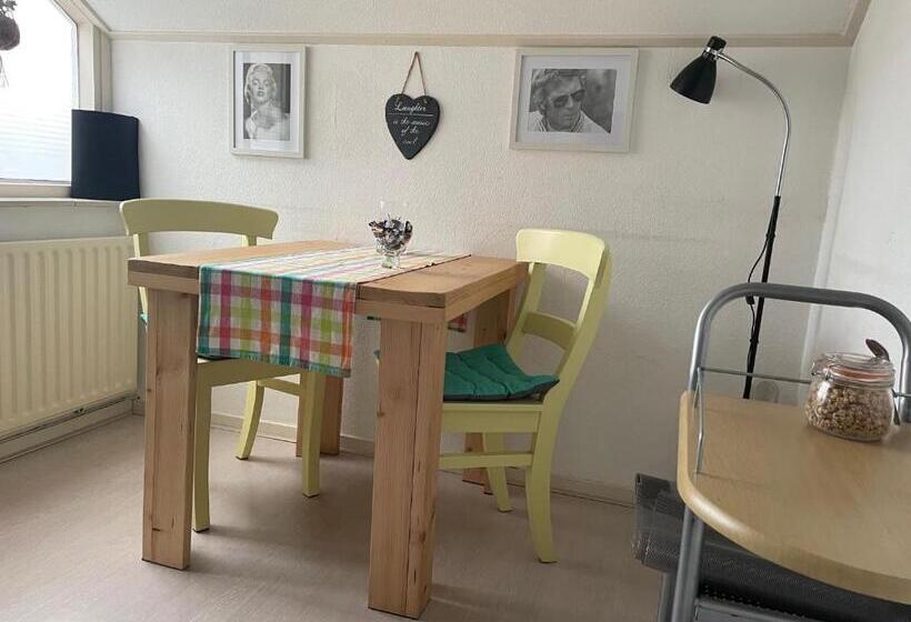 חדר סטנדרט, De Spiegel