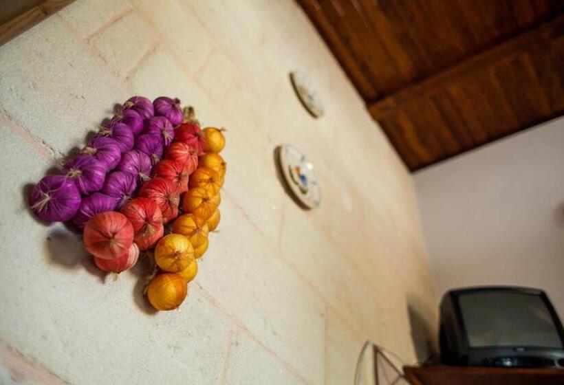 غرفة قياسية مطلّة علي الحديقة, Villa Marida