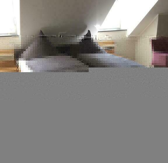 スタンダードルーム, Haus Am Parc