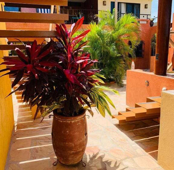 1 Bedroom Penthouse Apartment, Villa La Joya