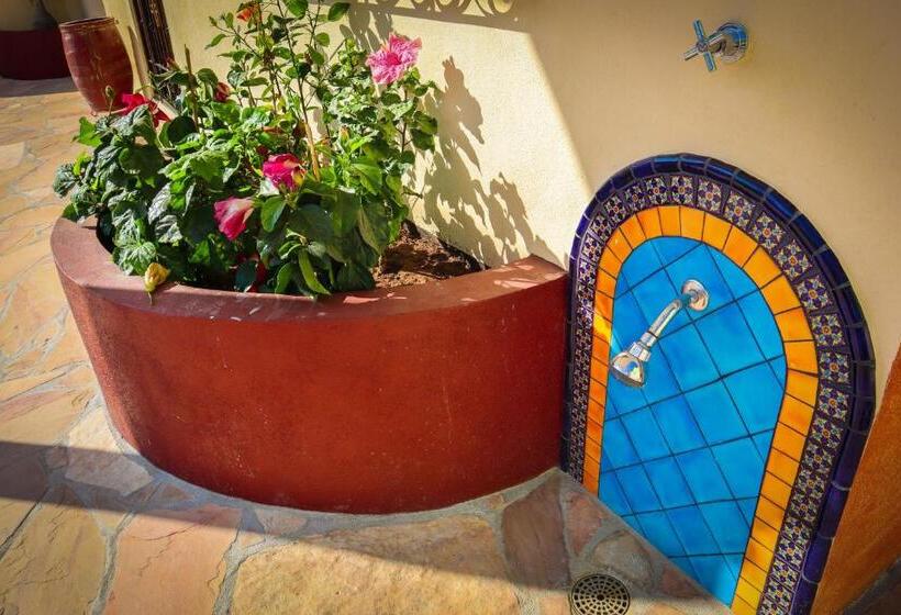 1 Bedroom Penthouse Apartment, Villa La Joya