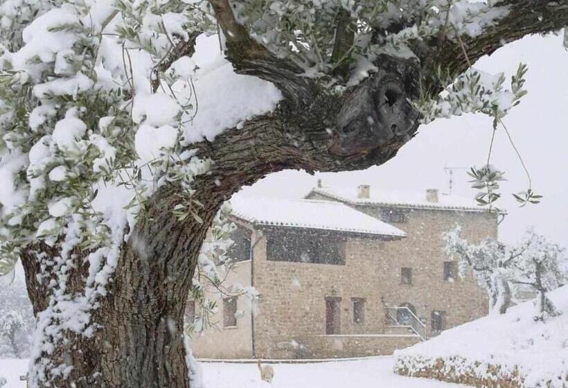 スタンダードルーム, Casa Rural Restaurante Mas Del Rei
