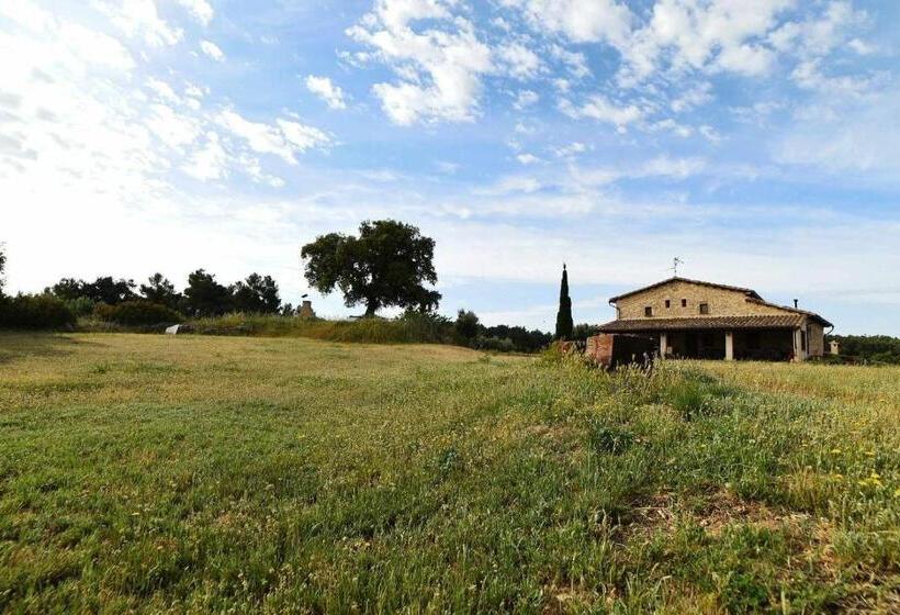 スタンダードルーム, Casa Rural Restaurante Mas Del Rei