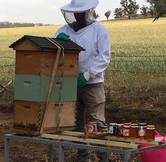 חדר משפחתי, Glenview Alpaca Farm