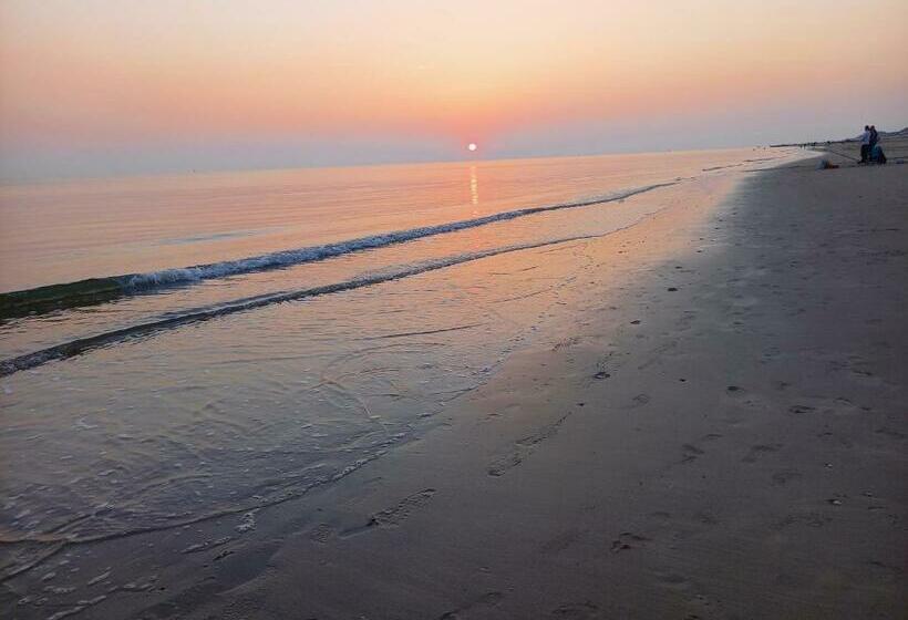 חדר דחוקס עם מיטת קינג, Room By The Sea