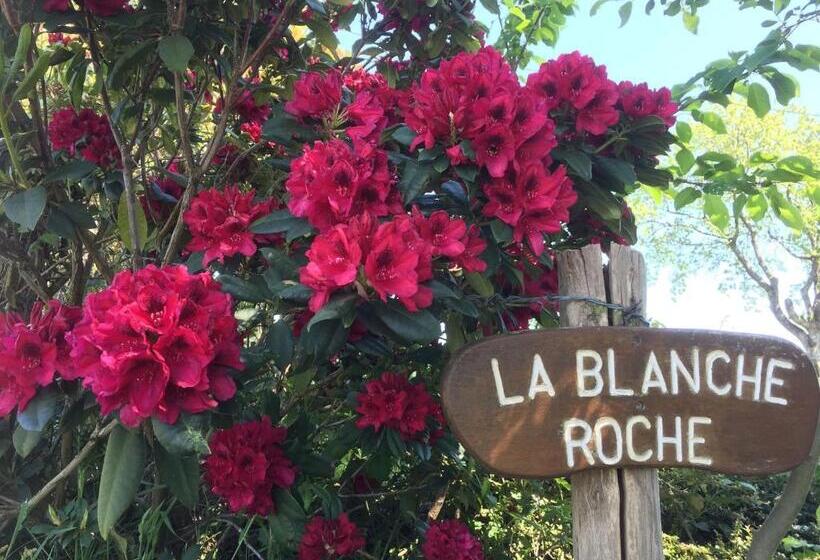 חדר סטנדרט, La Blanche Roche