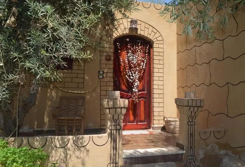 اتاق استاندارد, Mountain Camp Ali Khaled
