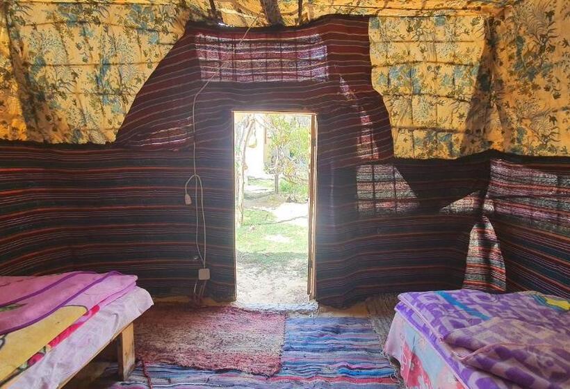 چادر با خدمات رفاهی استاندارد, Mountain Camp Ali Khaled