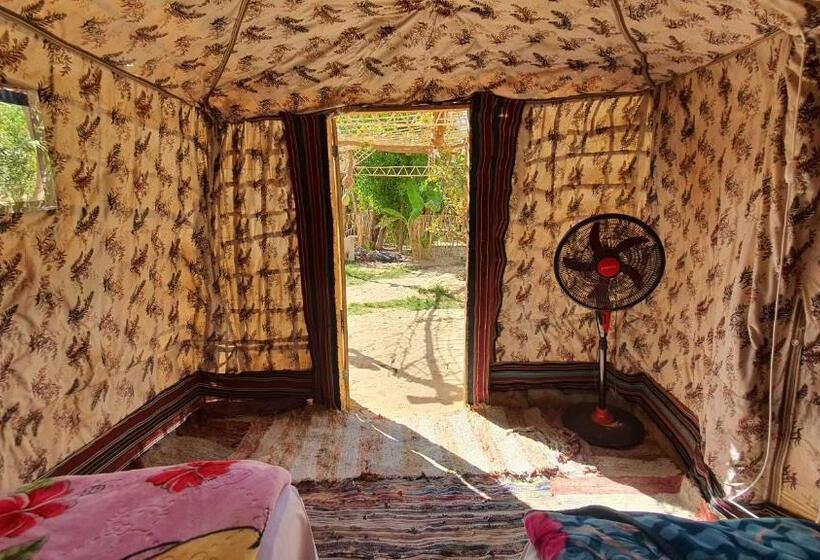 چادر با خدمات رفاهی استاندارد, Mountain Camp Ali Khaled